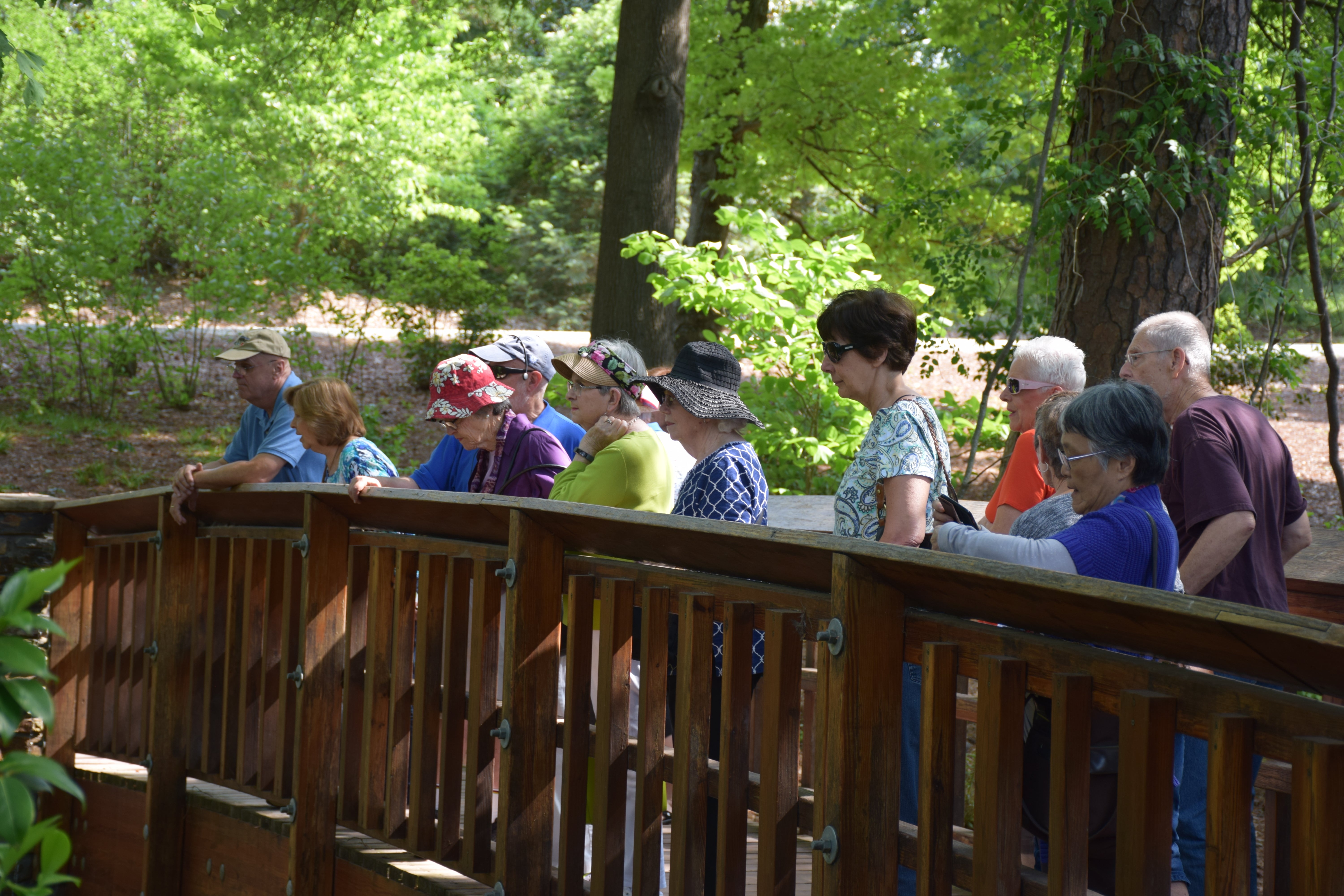 Image of LLP trip participants enjoying the view from the bridge on a trip to the Duke Gardens